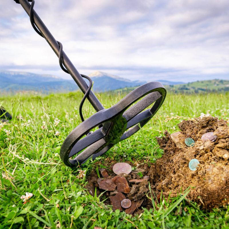 High-quality metal, gold, and groundwater detectors with expert support and 5-year warranty.